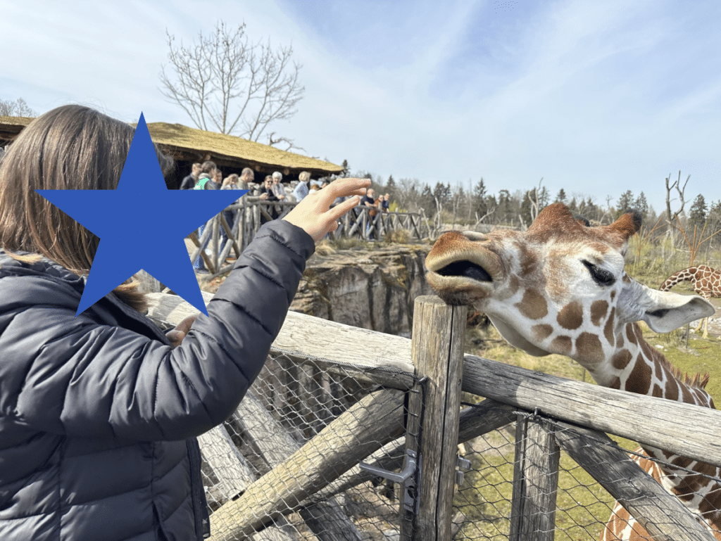 Alexiane - Être aide-soignante au zoo
